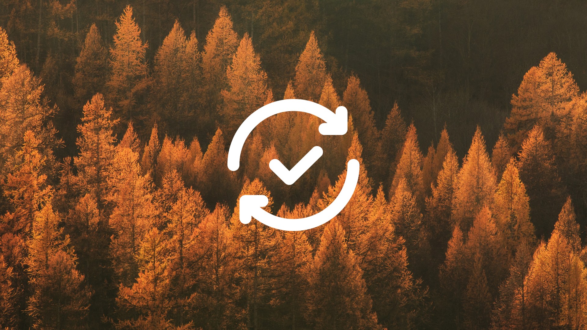 October 15, 2025 — Release Notes