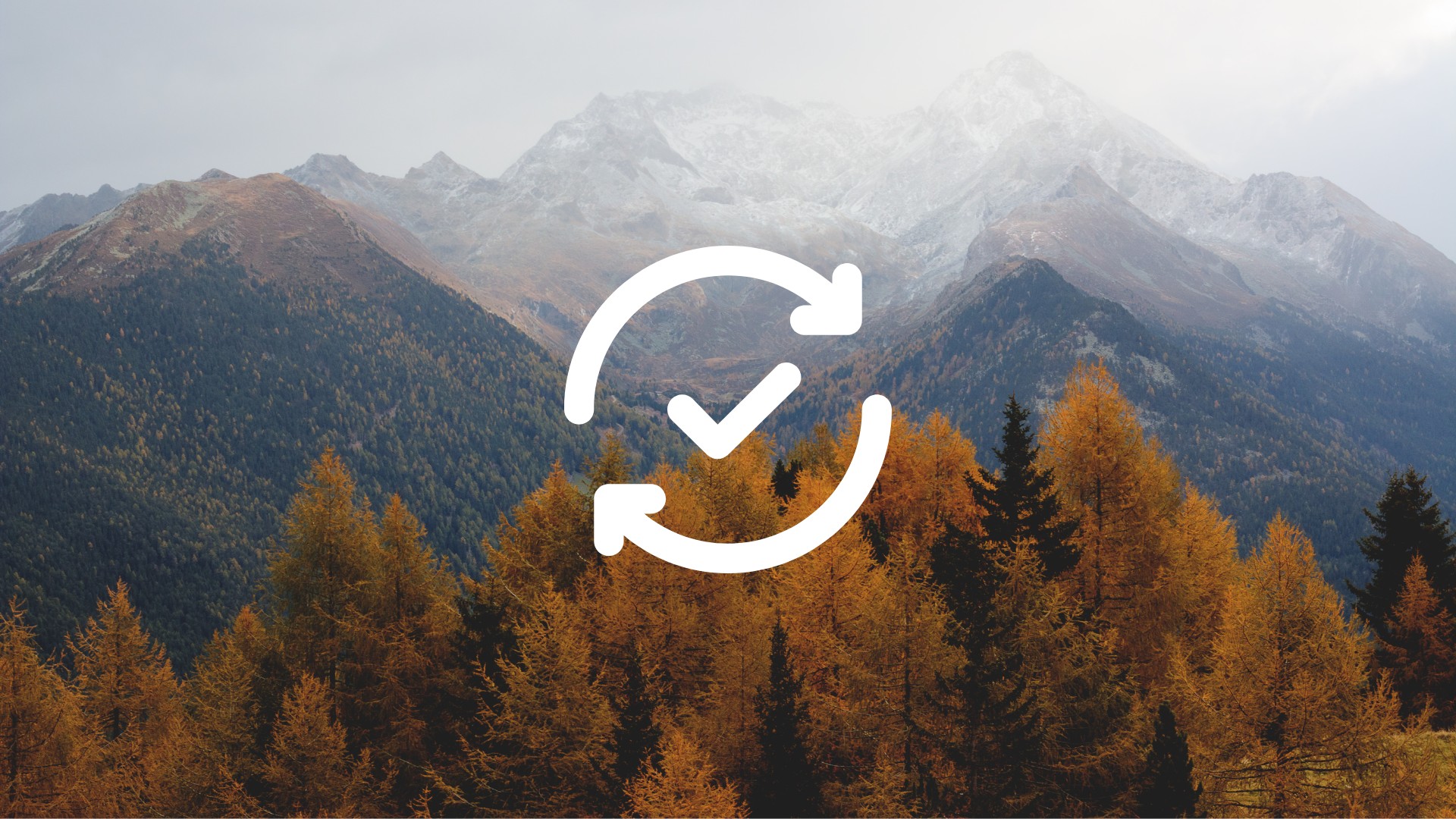 November 13, 2025 — Release Notes